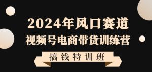 2024年风口赛道视频号电商带货训练营搞钱特训班，带领大家快速入局自媒体电商带货-大兵轻创资源库