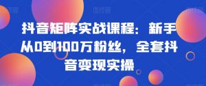 抖音矩阵实战课程:新手从0到100万粉丝,全套抖音变现实操-大兵轻创资源库