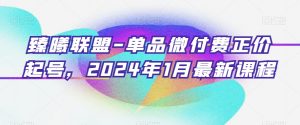 臻曦联盟-单品微付费正价起号,2024年1月最新课程-大兵轻创资源库