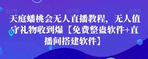天庭蟠桃会无人直播教程，无人值守礼物收到爆【免费整蛊软件+直播间搭建软件】-大兵轻创资源库