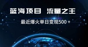 好评返现项目，稳定，小白速学月入过万【仅揭秘】-大兵轻创资源库