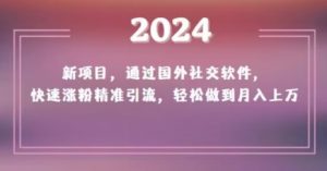2024新项目,通过国外社交软件,快速涨粉精准引流,轻松做到月入上万【揭秘】-大兵轻创资源库