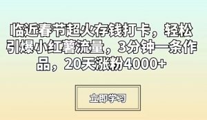 临近春节超火存钱打卡，轻松引爆小红薯流量，3分钟一条作品，20天涨粉4000+【揭秘】-大兵轻创资源库