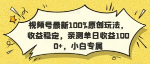 视频号最新100%原创玩法,收益稳定,亲测单日收益1000+,小白专属【揭秘】-大兵轻创资源库
