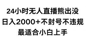 快手24小时无人直播熊出没,不封直播间,不违规,日入2000+,最适合小白上手,保姆式教学【揭秘】-大兵轻创资源库