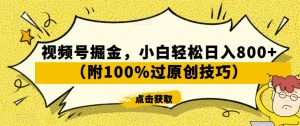 视频号掘金,小白轻松日入800+(附100%过原创技巧)【揭秘】-大兵轻创资源库