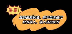 短剧最新玩法,新手当天就可以有收入,收入轻松破万【揭秘】-大兵轻创资源库