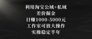 利用淘宝公域+私域差价掘金,日赚1000-5000元,工作室可放大操作,实操稳定半年【揭秘】-大兵轻创资源库