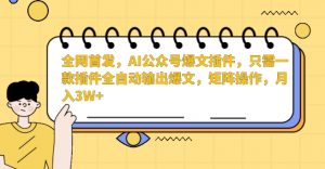 全网首发,AI公众号爆文插件,只需一款插件全自动输出爆文,矩阵操作,月入3W+【揭秘】-大兵轻创资源库