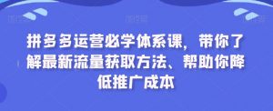 拼多多运营必学体系课,带你了解最新流量获取方法、帮助你降低推广成本-大兵轻创资源库