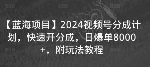 【蓝海项目】2024视频号分成计划,快速开分成,日爆单8000+,附玩法教程-大兵轻创资源库
