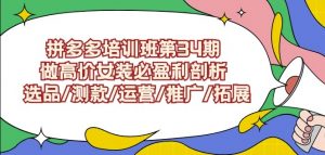 拼多多培训班第34期:做高价女装必盈利剖析选品/测款/运营/推广/拓展-大兵轻创资源库