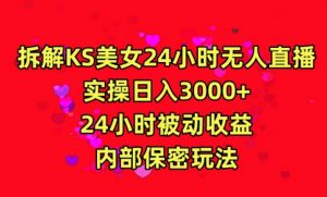 利用快手24小时无人美女直播,实操日入3000,24小时被动收益,内部保密玩法【揭秘】-大兵轻创资源库