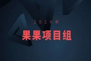 2024年果果项目组项目合集-果果最新项目-大兵轻创资源库