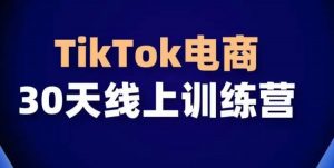 TikTok电商带货30天线上课,不可错过的全球流量洼地!-大兵轻创资源库