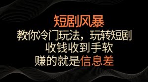 短剧风暴,教你冷门玩法,玩转短剧,收钱收到手软【揭秘】-大兵轻创资源库