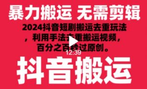 2024最新抖音搬运技术,抖音短剧视频去重,手法搬运,利用工具去重,达到秒过原创的效果【揭秘】-大兵轻创资源库