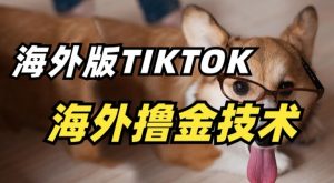 抖音海外版tiktok撸金技术,这个风口行业,赚钱真的不难【揭秘】-大兵轻创资源库