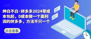 拼多多2024零成本包起,0成本做一个高利润的拼多多,方法不只一个-大兵轻创资源库