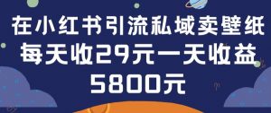 在小红书引流私域卖壁纸每张29元单日最高卖出200张(0-1搭建教程)【揭秘】-大兵轻创资源库