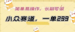 小众赛道,一单299.简单易操作,长期可做【揭秘】-大兵轻创资源库