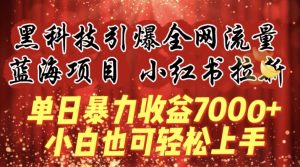 蓝海项目!黑科技引爆全网流量小红书拉新，单日暴力收益7000+，小白也能轻松上手【揭秘】-大兵轻创资源库