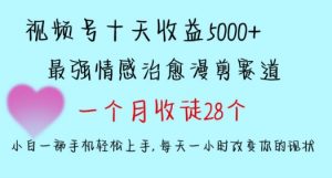 十天收益5000+,多平台捞金,视频号情感治愈漫剪,一个月收徒28个,小白一部手机轻松上手【揭秘】-大兵轻创资源库