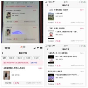 2024年3月最新,快手磁力聚星全流程实操教学,8台手机日均收益稳定100~200元【揭秘】-大兵轻创资源库