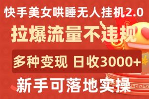 快手美女哄睡无人挂机2.0.拉爆流量不违规,多种变现途径,日收3000+,新手可落地实操【揭秘】-大兵轻创资源库