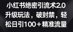 小红书绝密引流术2.0升级玩法，破封禁，轻松日引100+精准流量【揭秘】-大兵轻创资源库