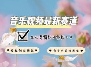 音乐视频赛道最新玩法，纯原创不违规，可所有平台同时发布，会点剪辑即可轻松拿捏【揭秘】-大兵轻创资源库