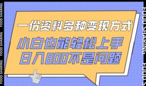 一份资料多种变现方式，小白也能轻松上手，日入800不是问题【揭秘】-大兵轻创资源库