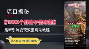 一千个野路子信息差最新玩法教程-变现+引流的玩法具体拆解【揭秘】-大兵轻创资源库