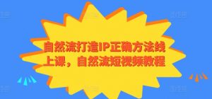 自然流打造IP正确方法线上课,自然流短视频教程-大兵轻创资源库