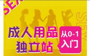 成人用品独立站从0-1入门，成品独立站运营全流程教学，七大好卖成品独立站推荐-大兵轻创资源库