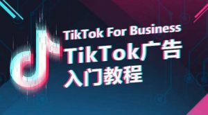 TikTok广告入门教程，从0到1掌握TikTok投放的全流程-大兵轻创资源库
