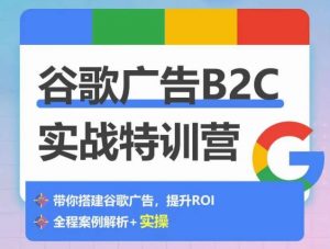 谷歌广告B2C实战特训营,500+谷歌账户总结经验,实战演示如何从0-1搭建广告账户-大兵轻创资源库