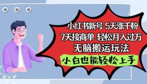 小红书影视泥巴追剧5天涨千粉,7天接商单,轻松月入过万,无脑搬运玩法【揭秘】-大兵轻创资源库