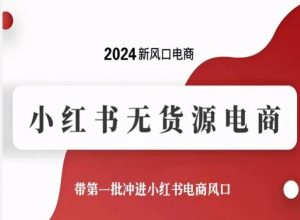 2024新风口电商，小红书无货源电商，带第一批冲进小红书电商风口-大兵轻创资源库