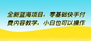 全新蓝海项目，零基础快手付费内容教学，小白也可以操作【揭秘】-大兵轻创资源库