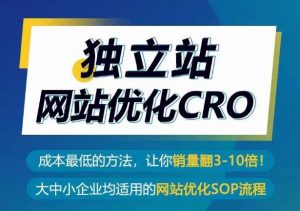 独立站网站优化CRO，成本最低的方法，让你销量翻3-10倍-大兵轻创资源库