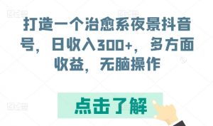 打造一个治愈系夜景抖音号，日收入300+，多方面收益，无脑操作【揭秘】-大兵轻创资源库