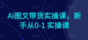Ai图文带货实操课,新手从0-1 实操课-大兵轻创资源库