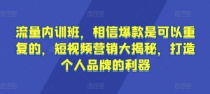 流量内训班，相信爆款是可以重复的，短视频营销大揭秘，打造个人品牌的利器-大兵轻创资源库