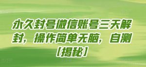 永久封号微信账号三天解封,操作简单无脑,自测【揭秘】-大兵轻创资源库