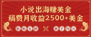 小说出海赚美金,稿费月收益2500+美金,仅需chatgpt粘贴复制,新手也能玩转【揭秘】-大兵轻创资源库