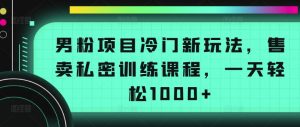 男粉项目冷门新玩法,售卖私密训练课程,一天轻松1000+【揭秘】-大兵轻创资源库