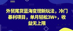 外贸尾货蓝海变现新玩法，冷门暴利项目，单月轻松3W+，收益无上限【揭秘】-大兵轻创资源库