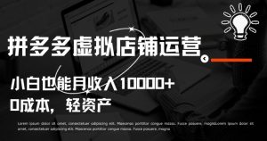 拼多多虚拟店铺运营小白也能月收入10000+【揭秘】-大兵轻创资源库