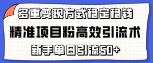精准项目粉高效引流术，新手单日引流50+，多重变现方式稳定赚钱【揭秘】-大兵轻创资源库